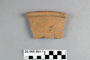 29-166-454.1