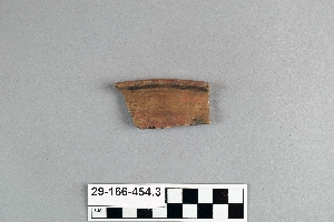 29-166-454.3
