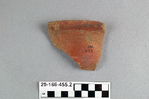 29-166-455.2