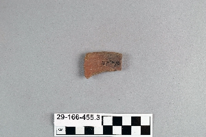 29-166-455.3