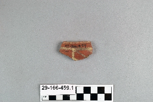 29-166-459.1