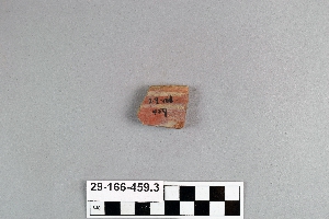 29-166-459.3
