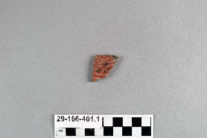 29-166-461.1