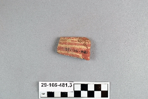 29-166-481.3