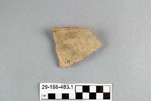 29-166-483.1