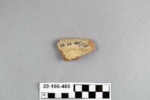 29-166-485