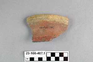 29-166-487.1