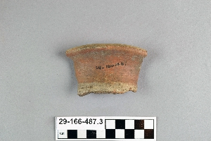 29-166-487.3