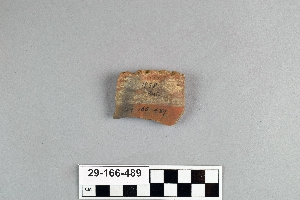 29-166-489