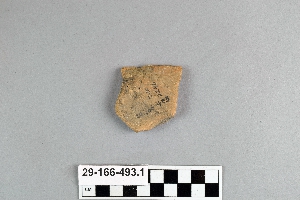 29-166-493.1