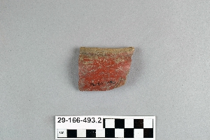 29-166-493.2