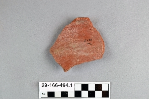 29-166-494.1