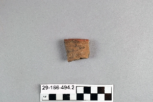 29-166-494.2