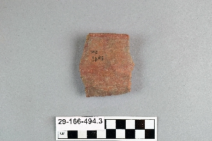 29-166-494.3