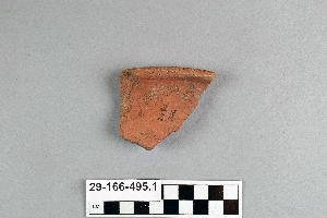 29-166-495.1