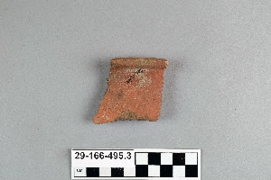 29-166-495.3