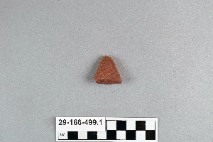 29-166-499.1