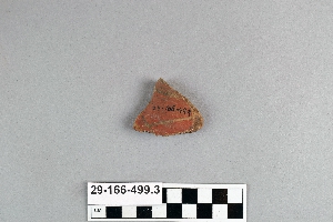 29-166-499.3