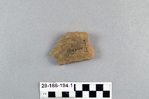 29-166-194.1