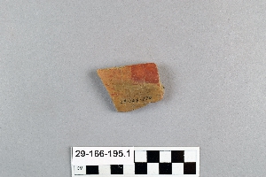 29-166-195.1
