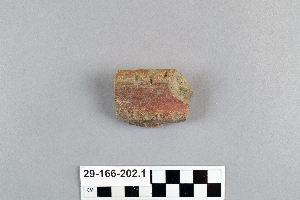 29-166-202.1