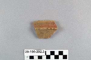 29-166-202.3