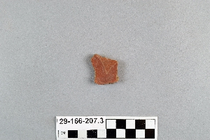 29-166-207.3