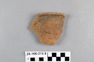 29-166-210.8