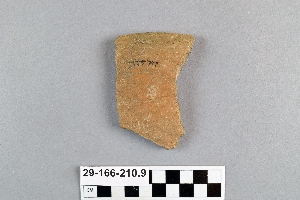 29-166-210.9