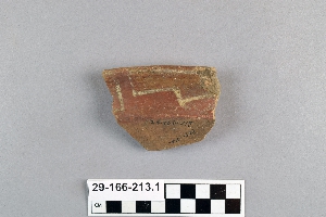 29-166-213.1