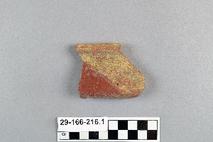 29-166-216.1