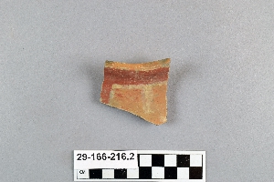 29-166-216.2