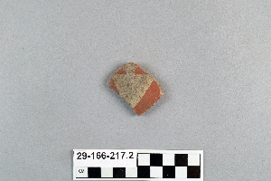 29-166-217.2