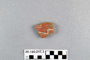 29-166-217.3