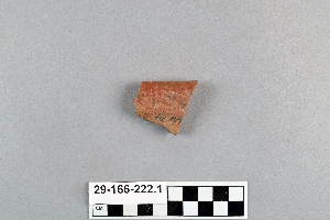29-166-222.1