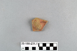 29-166-231.1