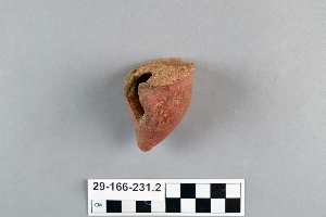 29-166-231.2