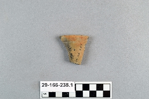 29-166-238.1