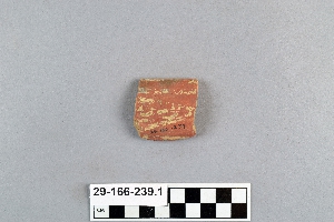 29-166-239.1