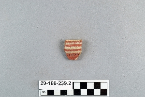 29-166-239.2