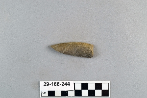 29-166-244