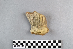29-166-183