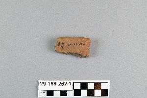 29-166-262.1