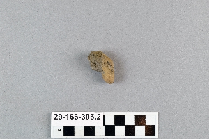 29-166-305.2