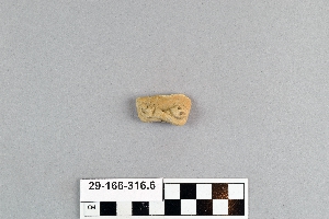 29-166-316.6