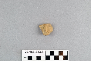 29-166-323.6