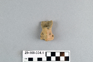 29-166-334.1