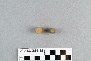 29-166-341.14
