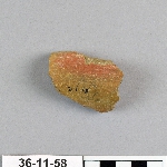 502629