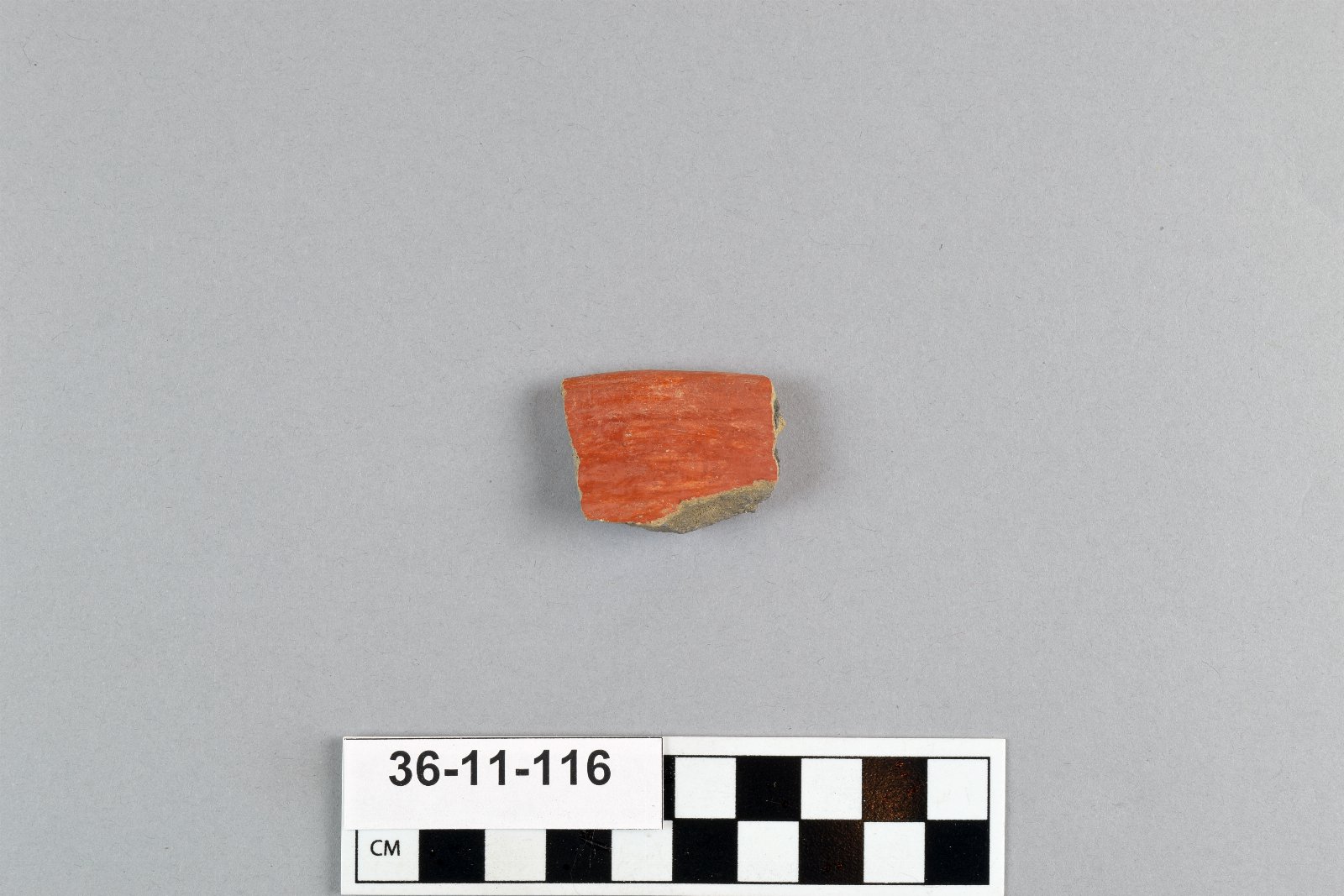 502704